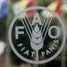 FAO: Venezuela es el mejor ejemplo de retroceso en la lucha contra el hambre