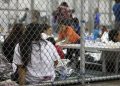 Más de 900 infantes migrantes fueron alejados de sus padres en Estados Unidos en un año