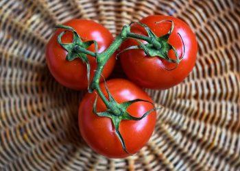 Aranceles a los tomates por parte de EEUU estaría preocupando a la economía mexicana