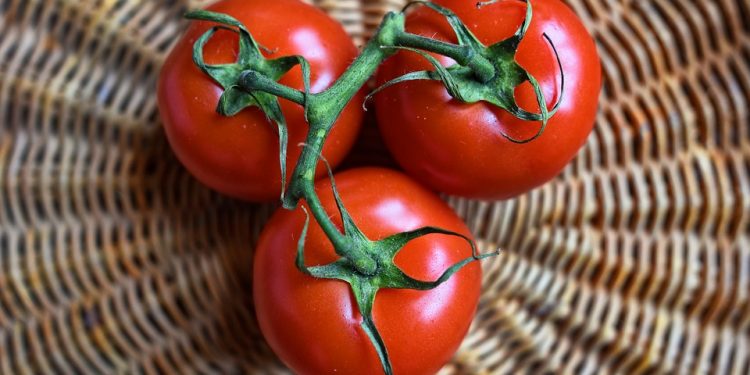 Aranceles a los tomates por parte de EEUU estaría preocupando a la economía mexicana
