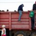 Más de 140 migrantes hacinados en un camión fueron rescatados por la policía mexicana