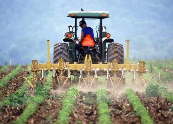 ONU advierte que la agricultura y la alimentación deben cambiar para frenar el calentamiento global
