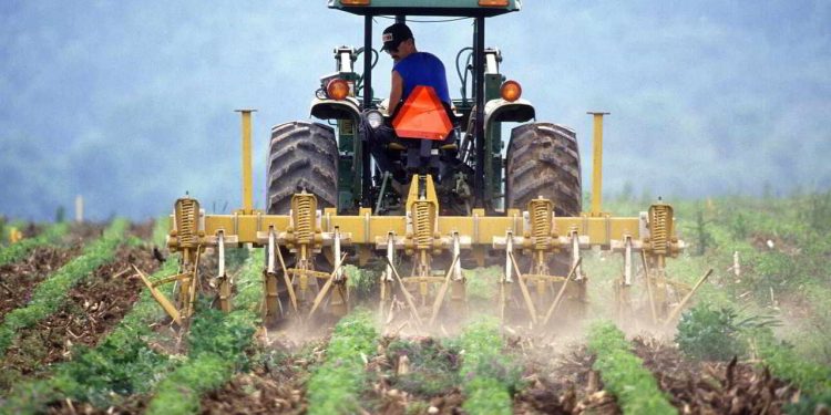 ONU advierte que la agricultura y la alimentación deben cambiar para frenar el calentamiento global