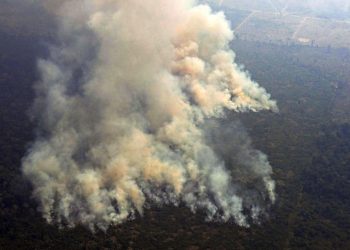 Incendios en la Amazonía no se apagarán con la lluvias recientes