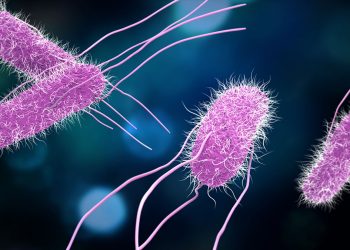 CDC advierte sobre la mortífera salmonela resistente a los medicamentos