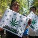 El partido de López Obrador busca legalizar la marihuana para el consumo personal