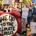 Declararon emergencia climática en Miami Beach por activistas