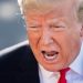 Donald Trump y sus opciones de ser reelegido para un segundo mandato