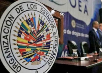 Quince países de la OEA piden elecciones en Bolivia “lo más pronto posible”