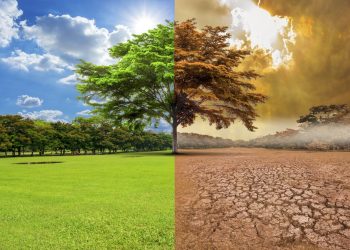 Agencia de Protección Ambiental de EEUU no acatará recomendación para combatir cambio climático