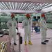 Japón liberará agua radioactiva de Fukushima al mar