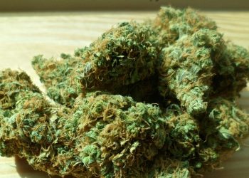 Aumenta inquietud de inversores de la «fiebre verde»