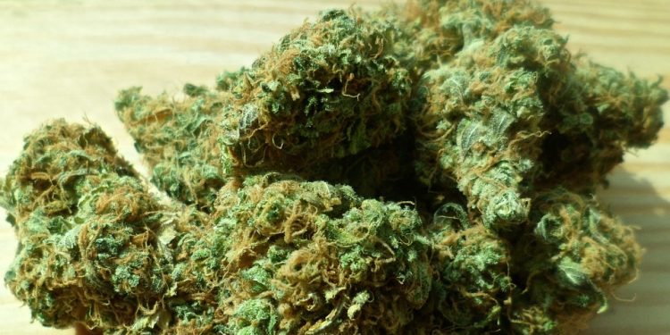 Aumenta inquietud de inversores de la «fiebre verde»