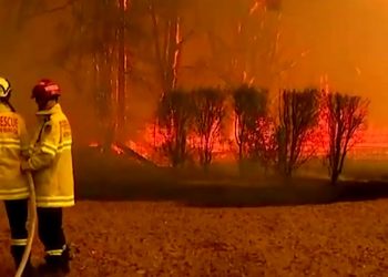 Bomberos estiman que el gigantesco incendio cerca de Sídney podría arder semanas