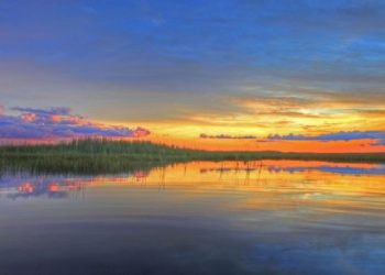 Everglades: Lo que se debe hacer para proteger la costa de Florida