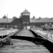 Yad Vashem conmemora los 75 años de liberación de Auschwitz