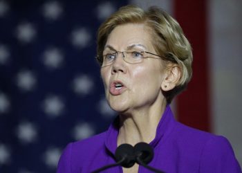 En Florida: Maestros respaldan candidatura de Elizabeth Warren a la presidencia de EEUU
