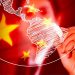 China Hoy: A la hora de escoger