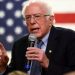 Tras caos en Iowa demócratas buscan reponerse en New Hampshire