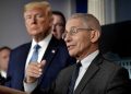 Partidarios de Trump ponen sus ojos en el Dr. Anthony Fauci