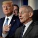 Partidarios de Trump ponen sus ojos en el Dr. Anthony Fauci