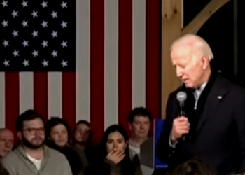 Biden triunfa en Florida e Illinois, según proyecciones