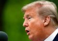 Trump suspende pagos por $900 millones a la Organización Mundial de la Salud