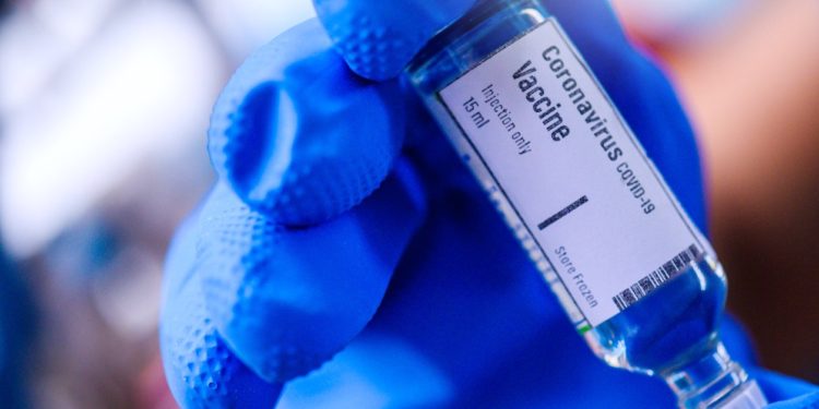 ¡Buena noticia! Vacuna de Inovio contra el COVID-19 crea anticuerpos en ratones y cobayas