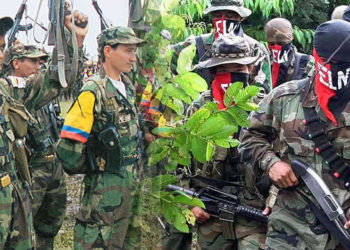 ELN y FARC sus conexiones con la dictadura de Maduro