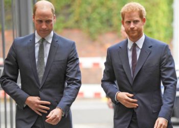 El príncipe William y su hermano Harry se comunican por zoom