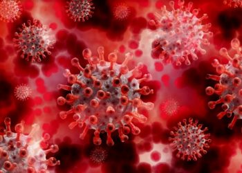 Conozca la nueva ruta que encontró el coronavirus para infectarnos
