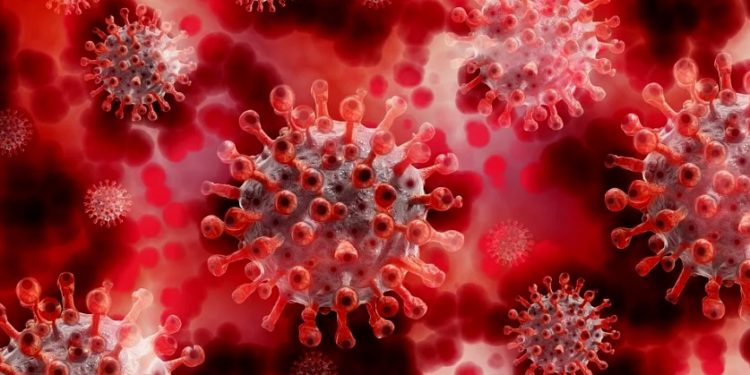 Conozca la nueva ruta que encontró el coronavirus para infectarnos