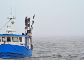 Tensión entre Ecuador y China por presencia de 300 buques pesqueros cerca de las Galápagos