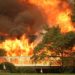 Incendios en California arrasan con los viñedos del Valle de Napa