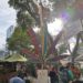 México despenaliza uso recreacional de la marihuana