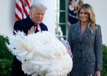 El último pavo de este gobierno de Trump
