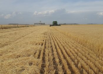 Gobierno argentino tiende puentes a la agroindustria