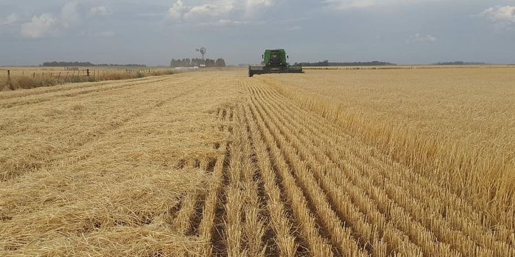 Gobierno argentino tiende puentes a la agroindustria