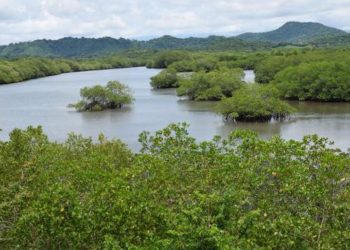 Economía verde: la estrategia de Costa Rica frente al COVID-19