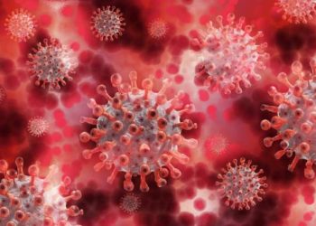 Claves para entender el coronavirus mutante