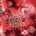 Claves para entender el coronavirus mutante