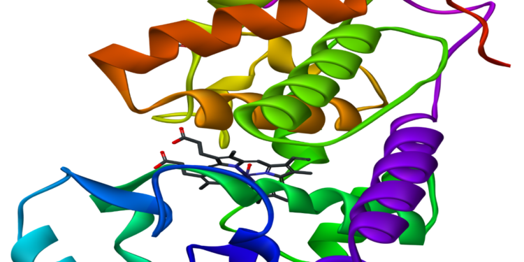 Inteligencia artificial resuelve misterio sobre las proteínas que ayudaría con el COVID-19