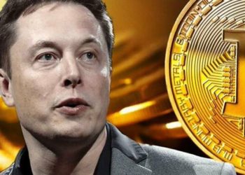 Bitcoin Elon Musk