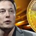 Bitcoin Elon Musk