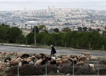 Israel se la pone difícil a los palestinos residentes en Jerusalén, de cara a elecciones en Gaza