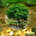 ¿Vivimos ya el cambio climático?