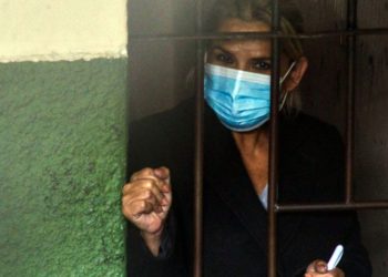ONU, UE y OEA piden «debido proceso» en Bolivia