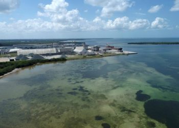 ¡Potencial catástrofe ecológica! Obligó al Gobernador de Florida a declarar estado de emergencia