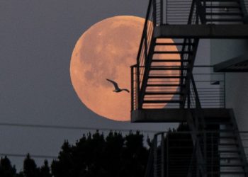Eróscopo: Llega junio, tiempo para cerrar ciclos