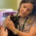 Rescatan a un gato llamado Binx entre los escombros de Surfside